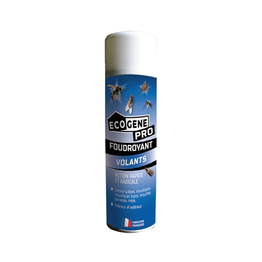 Bombe anti-insectes volants