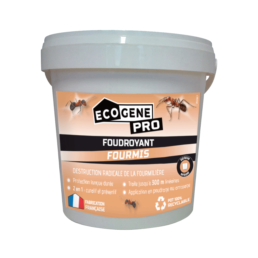 Foudroyant fourmis poudrage et arrosage