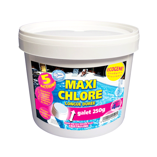Maxi chlore lent multi-actions galets 250 g
