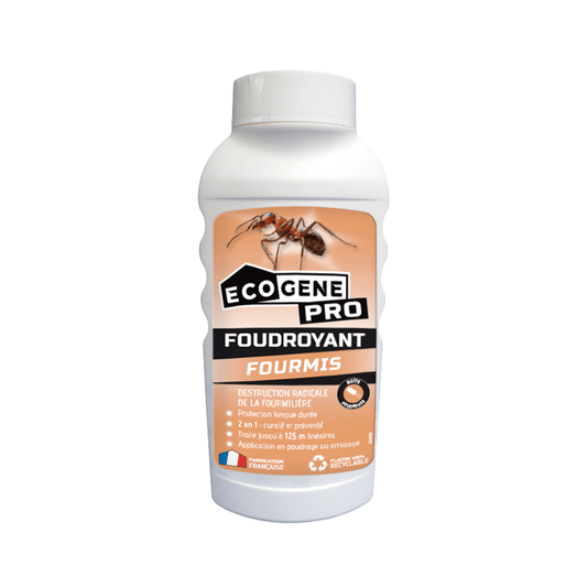 Foudroyant fourmis poudrage et arrosage
