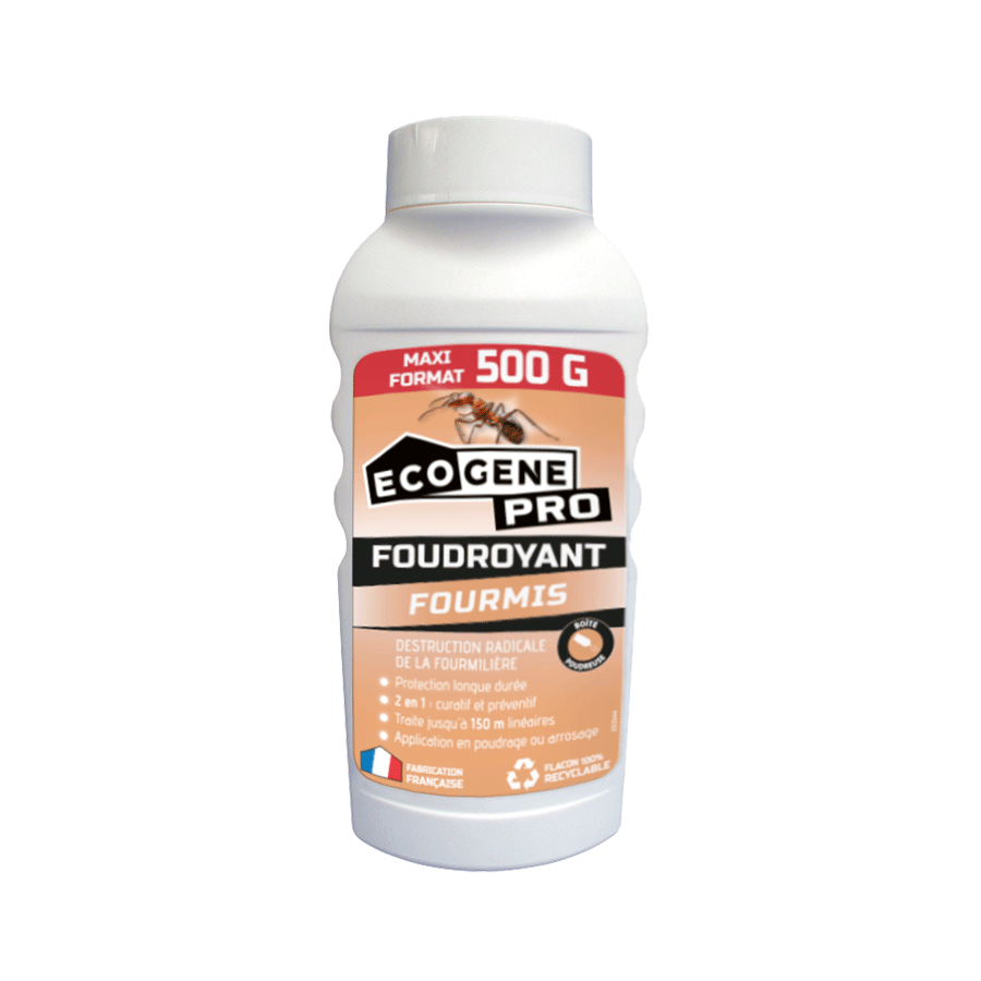 Foudroyant fourmis poudrage et arrosage