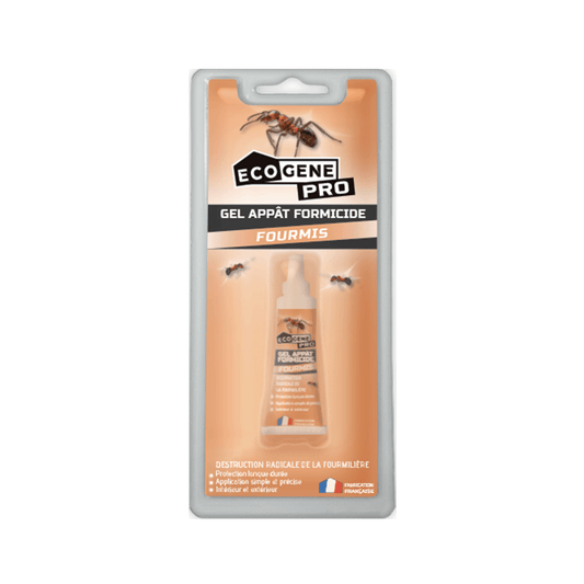Gel appât anti-fourmis puissant