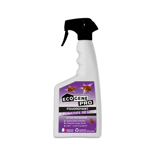 Spray foudroyant anti punaises de lit