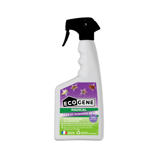 Radical puces et punaises de lit sans insecticide